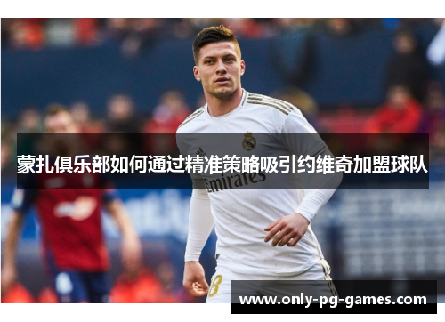 蒙扎俱乐部如何通过精准策略吸引约维奇加盟球队