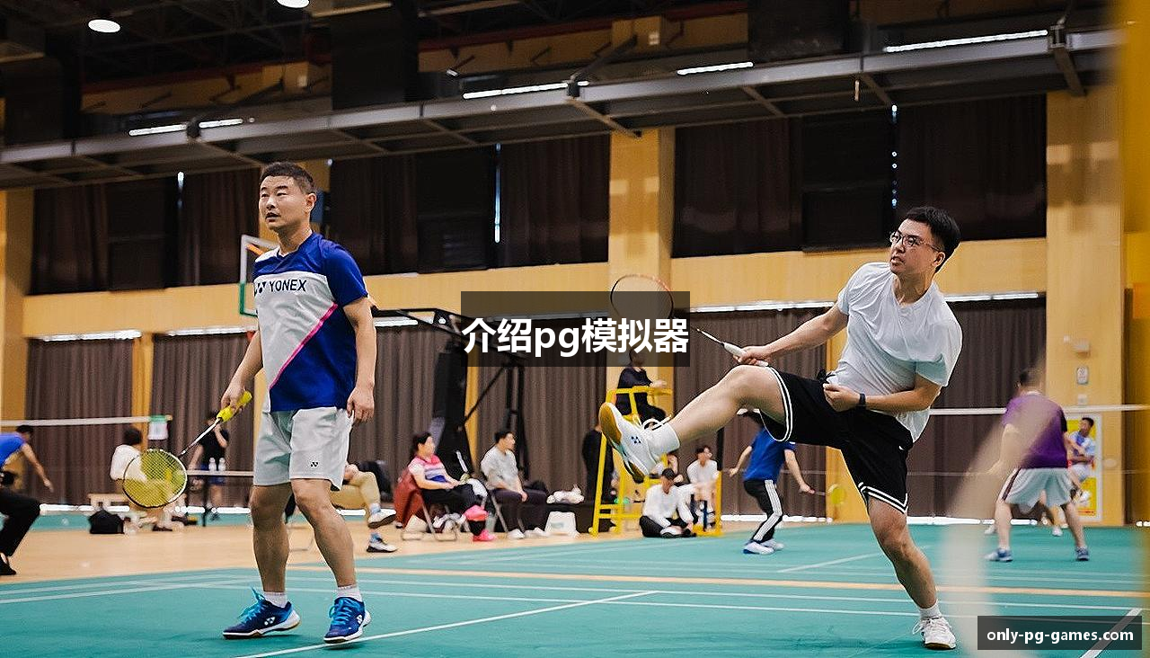 介绍pg模拟器